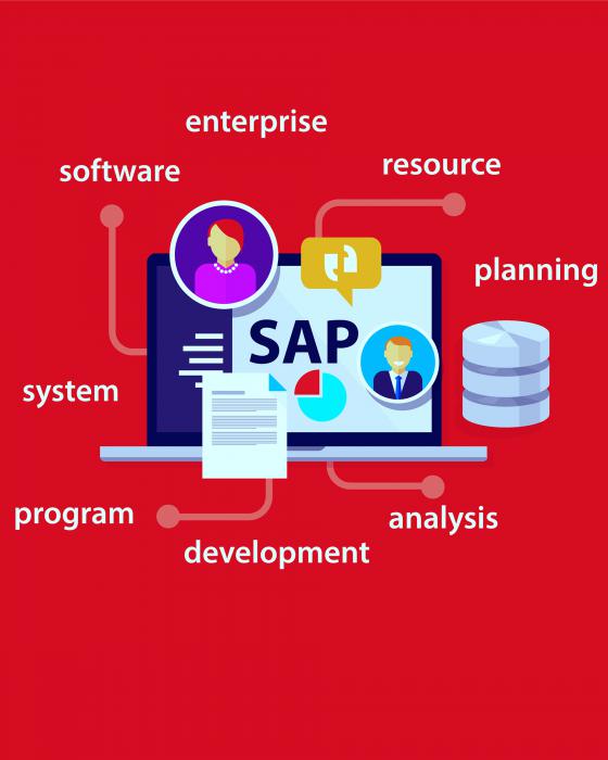 ERP - SAP Consulting